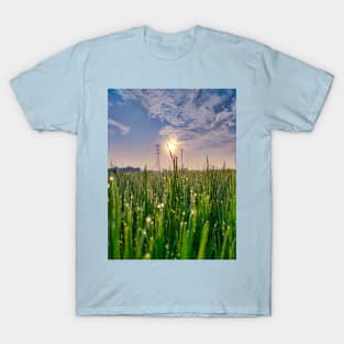 Sunrise And Morning Dew T-Shirt